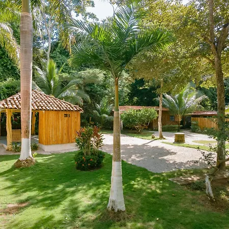 Mistica Natural Jungle Bungalows - A Hidden Gem Close To Playa Conchal